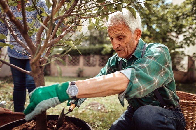 A man planting a tree. Like using an HSA in retirement planning